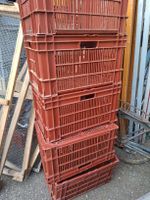 6x Kiste Schoeller plastique Romont rot Stapelbehälter 