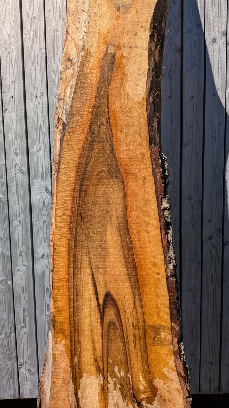 Articoli in legno: Nussbaumbrett  – Nuovo (secondo la descrizione) da Wattwil venduto da Woodbender 1