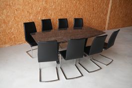 Granittisch 200x105cm Esstisch inkl. 8 Leder Freischwinger