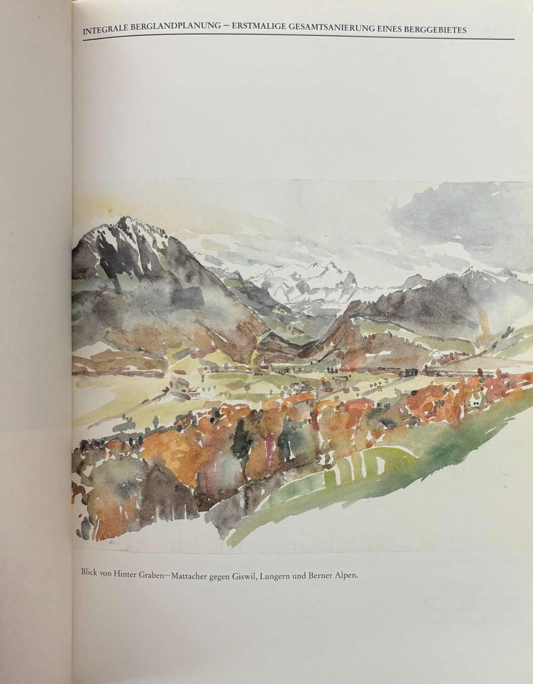 Libri: Integrale Berglandplanung – Usato da Sarnen venduto da Livres 1