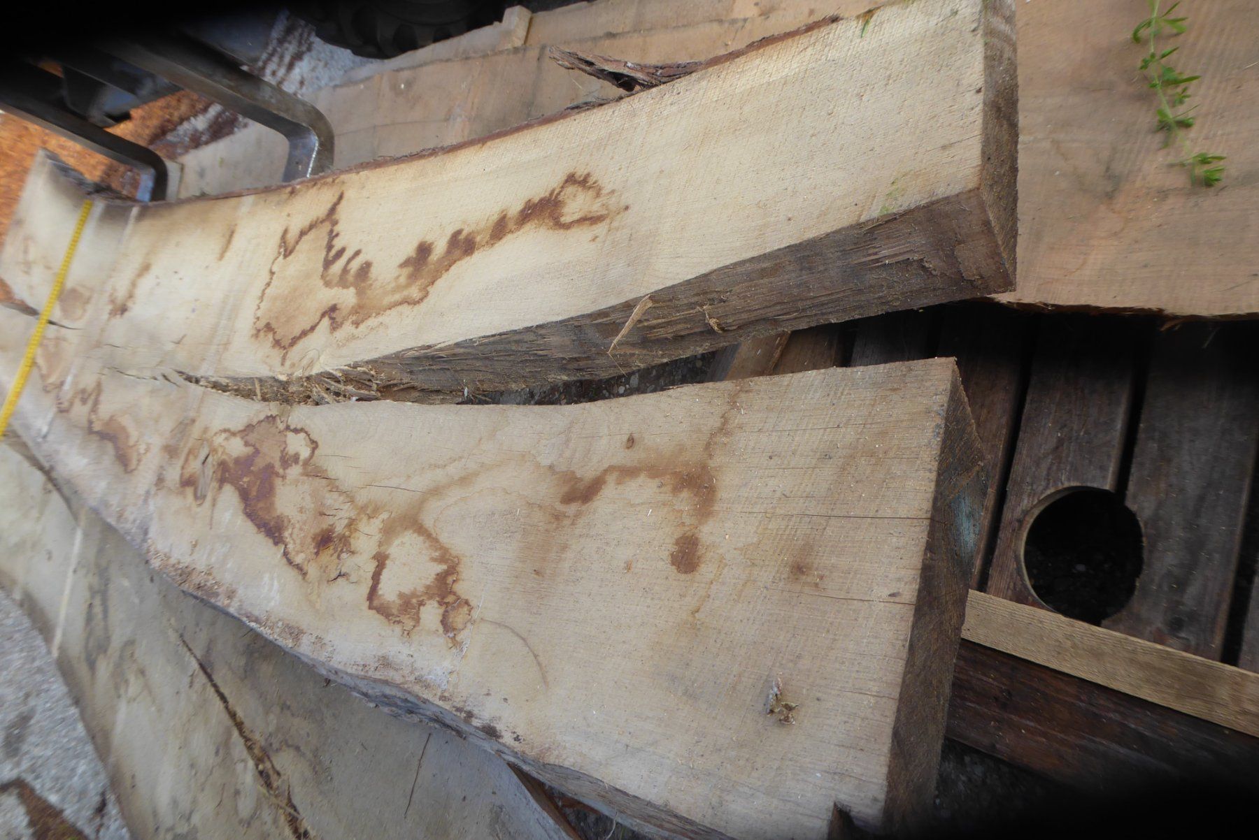 Holzartikel: 2 Eichenbretter 5.5 cm – Neu (gemäss Beschreibung) aus Sumiswald von Hennri1 2