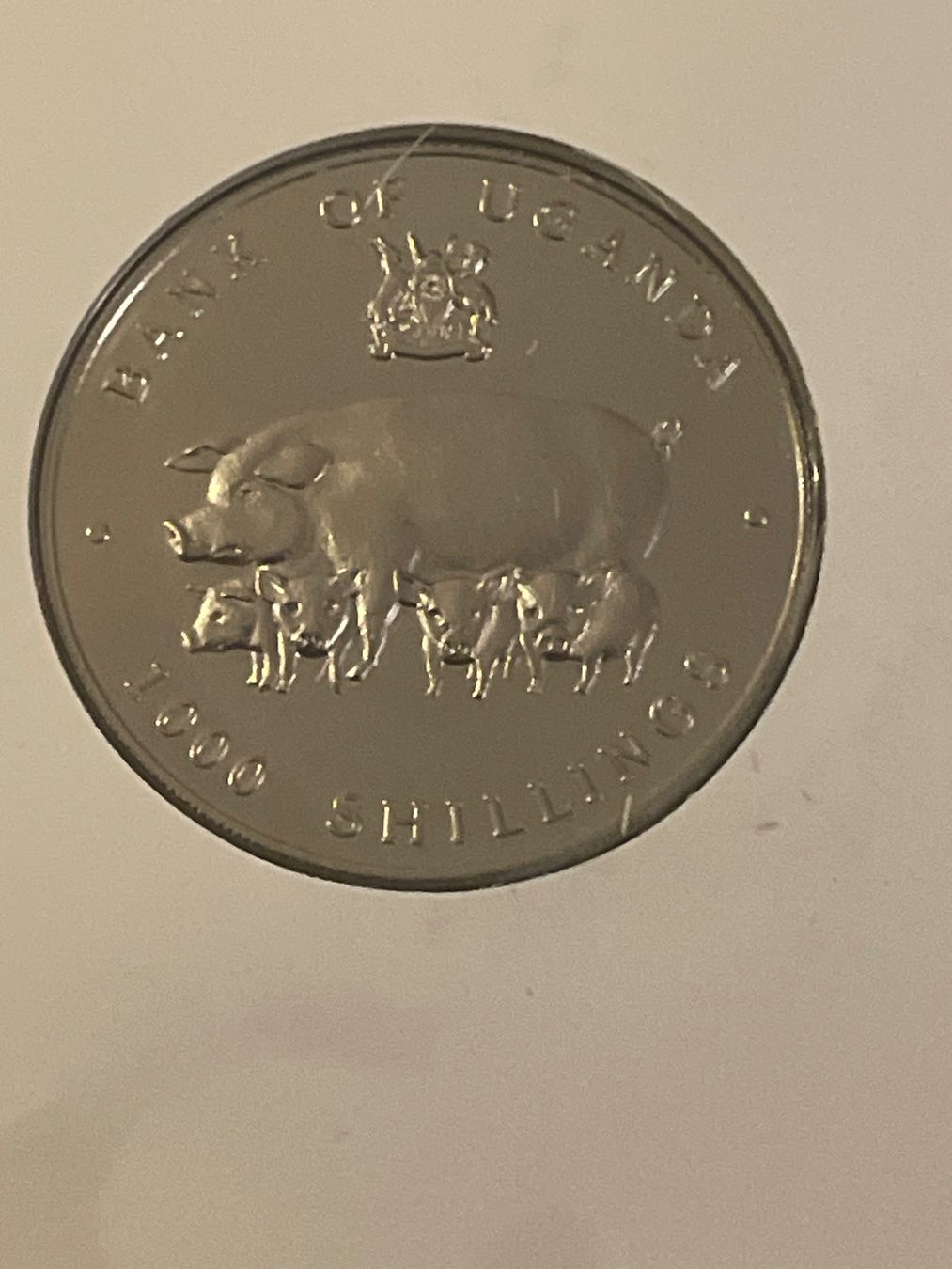 Alle Münzen: Numisbrief Jahr des Schweins – Neu (gemäss Beschreibung) aus Schlossrued von Julio25 1