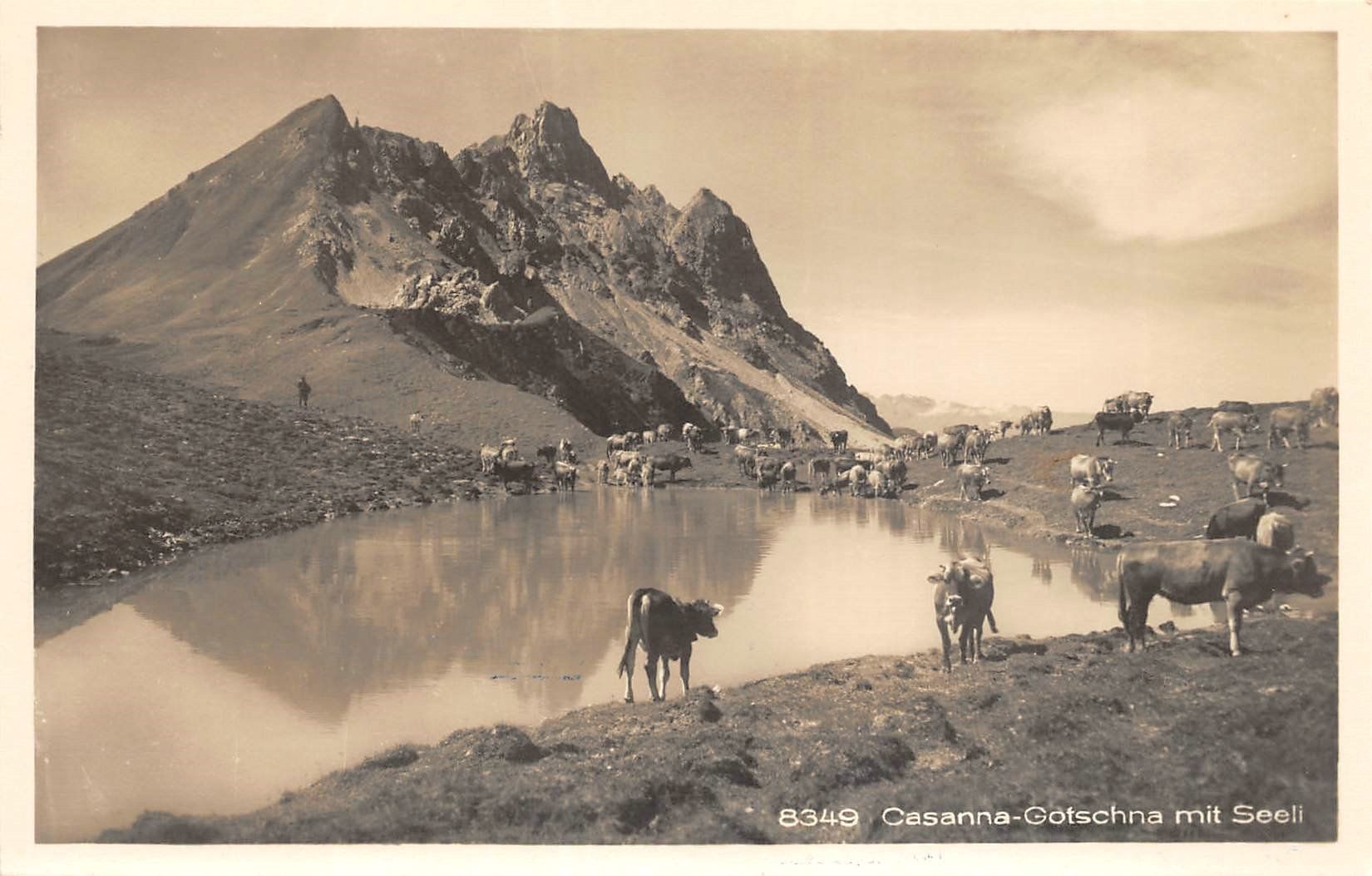 Cartes postales: Casanna Gotschna mit Seeli, Kühe – D'occasion à Ottikon b.Kemptth. par Neptun1974
