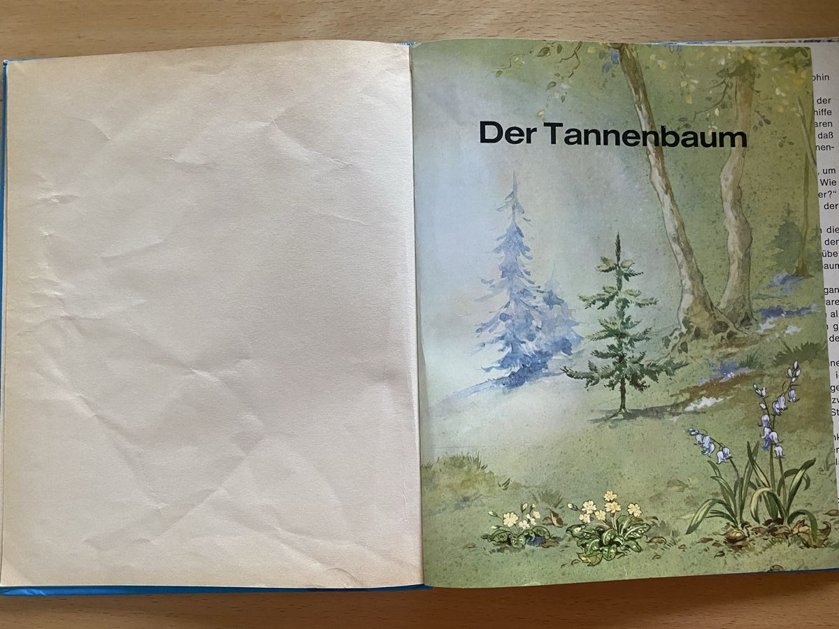 Bücher: Der Tannenbaum - Hans Christian Andersen – Gebraucht aus Schwarzenburg von Michellu 4