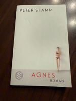 Roman Agnes von Peter Stamm gebraucht