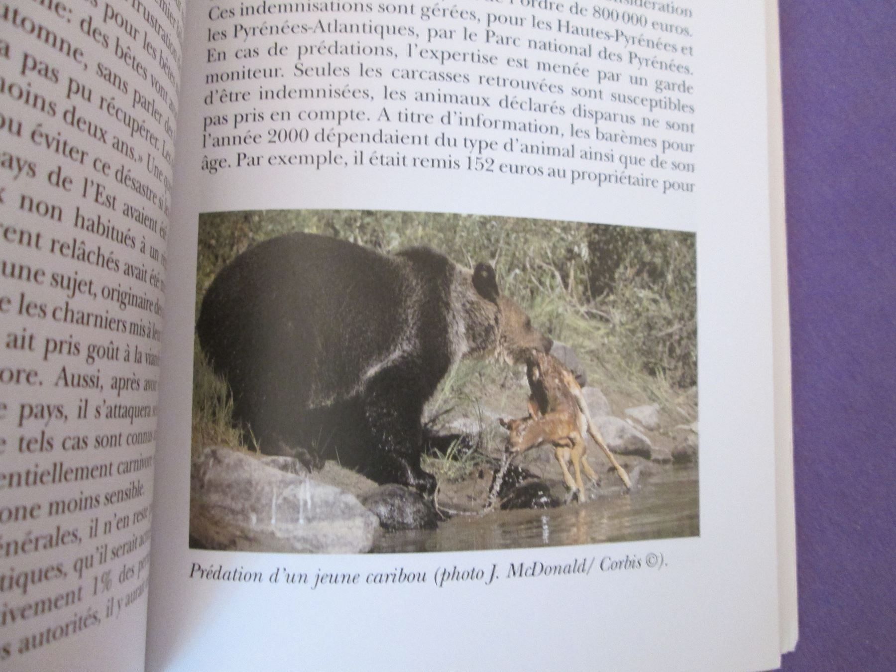 Libri: Le grand retour de l'ours – Usato da Neuchâtel venduto da Dualseele 8