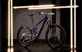 GHOST E-RIOT LIMITED MIT GARANTIE NP CHF 11'000