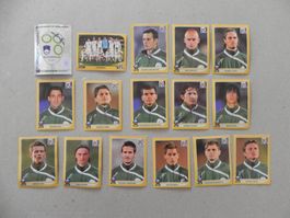 Panini Fussball WM Südafrika 2010 Slovenien 16 Stück 239-257