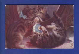 CHAT - Chatons joueurs