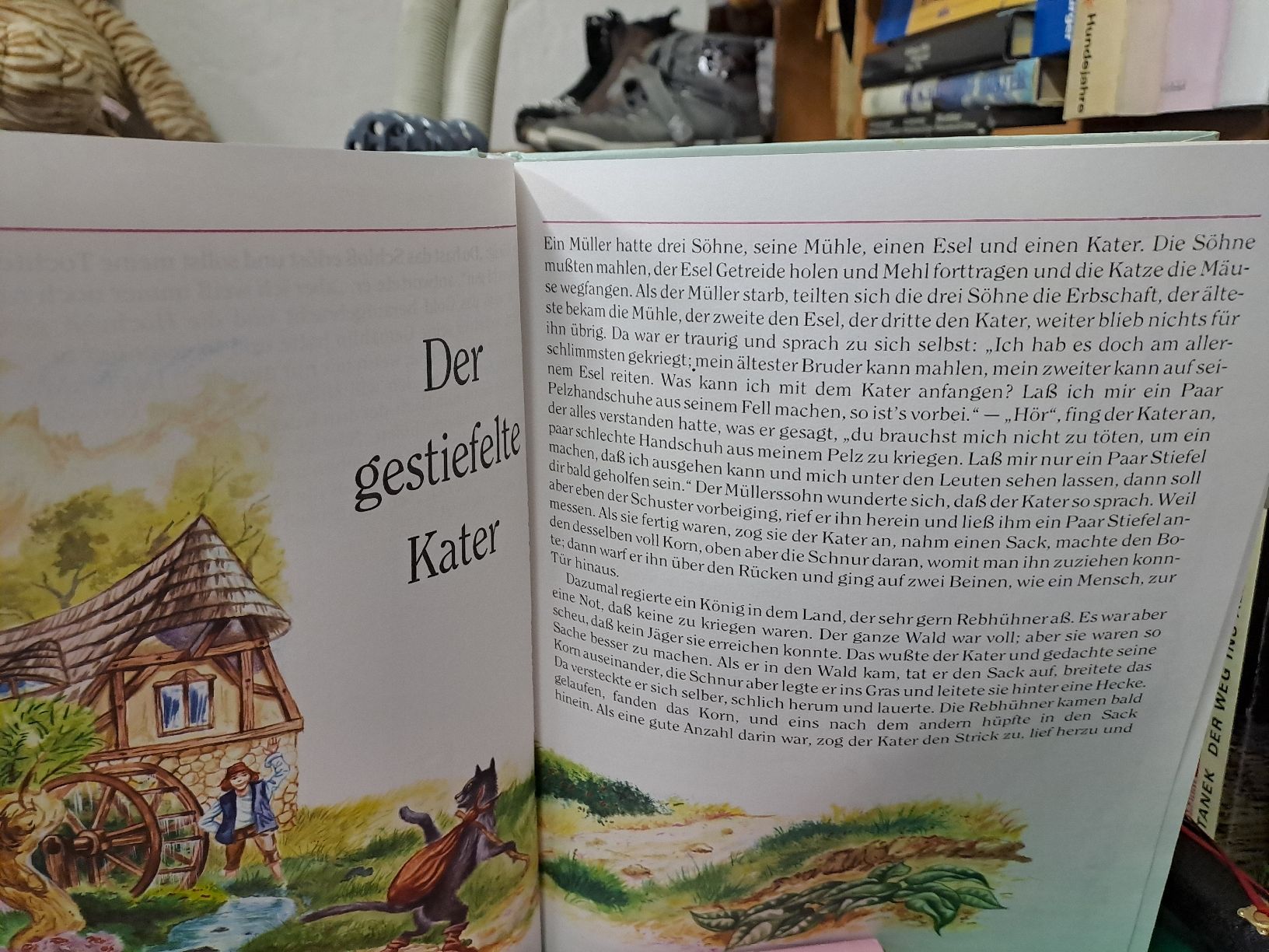 Libri: Grimms Maerchen Buch guter Zustand – Usato da Zürich venduto da Schoebi19 4