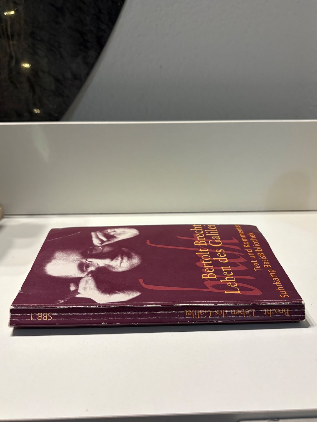 Libri: Leben des Galilei von Bertolt Brecht – Usato da Zürich venduto da haj_cp28 2
