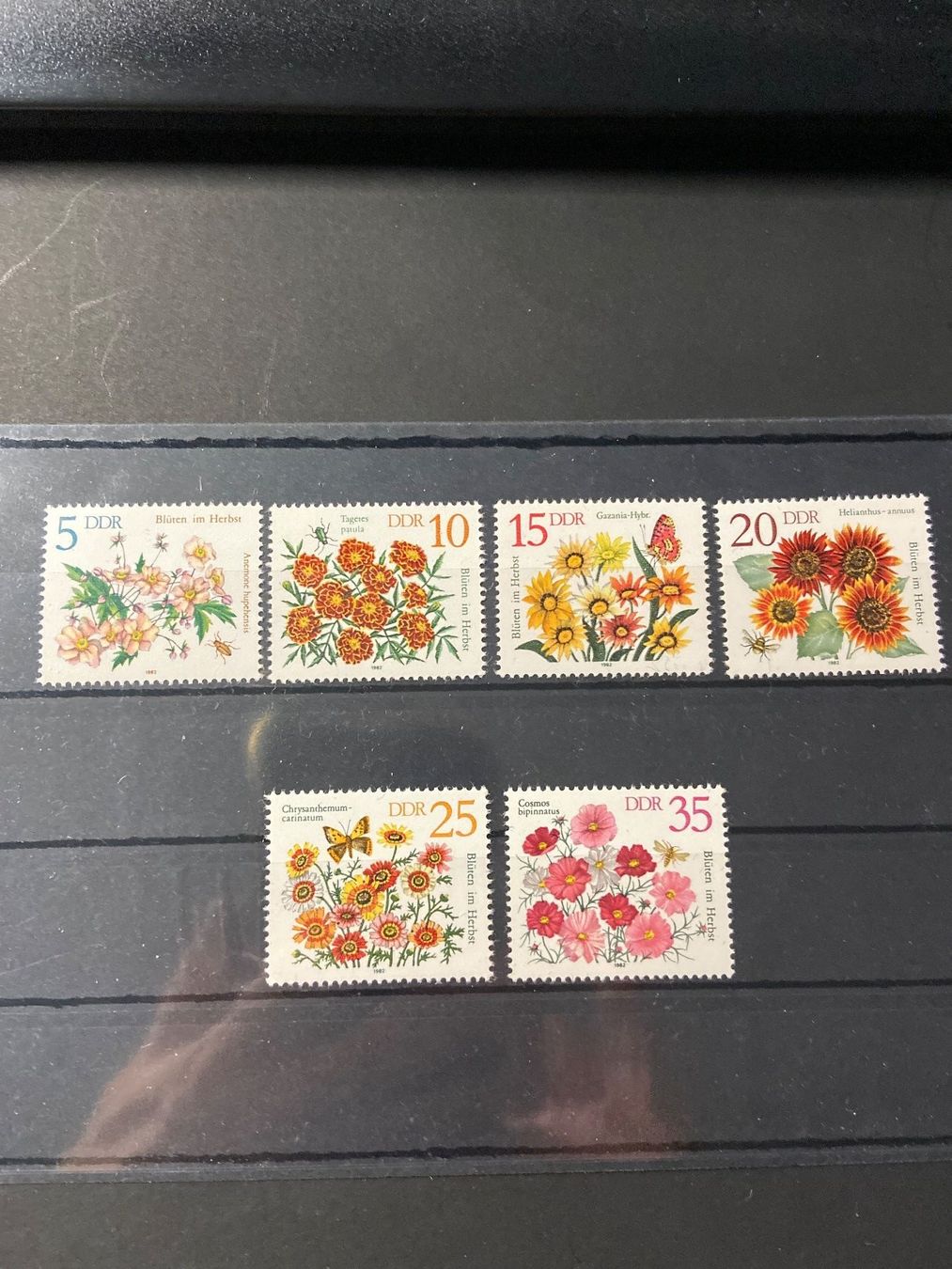 Tutti i francobolli: DDR 1982 Herbstblumen ** – Usato da Wil SG venduto da fva01