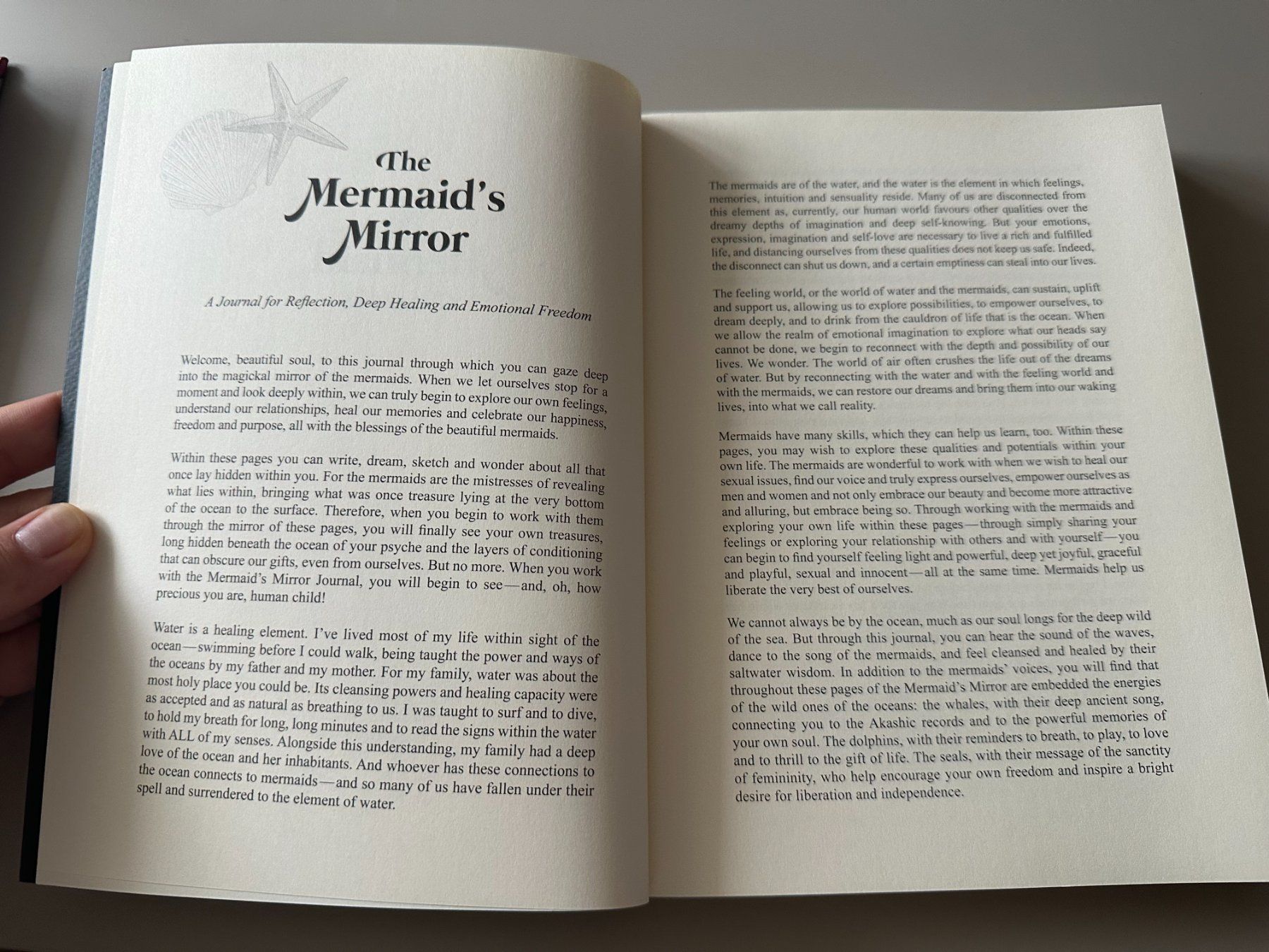 Bücher: The Mermaid's Mirror: A Journal for Reflection, Deep Healing – Neu (gemäss Beschreibung) aus Zürich von giga82 1