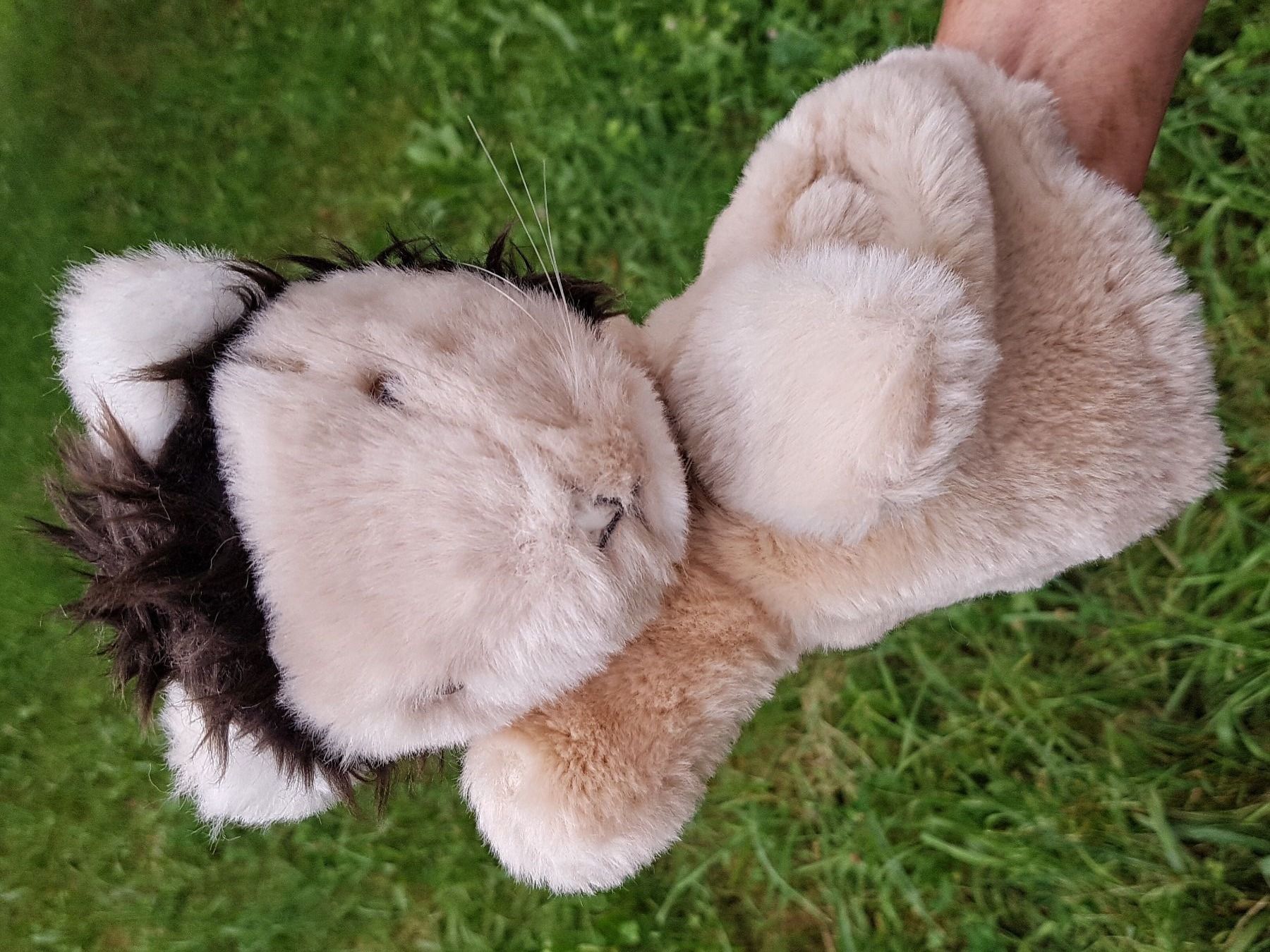 Bambole: Handpuppe Löwe "SUZY QUALITY" / NEU – Nuovo e nell'imballaggio originale da Dürrenäsch venduto da Didaedi 1