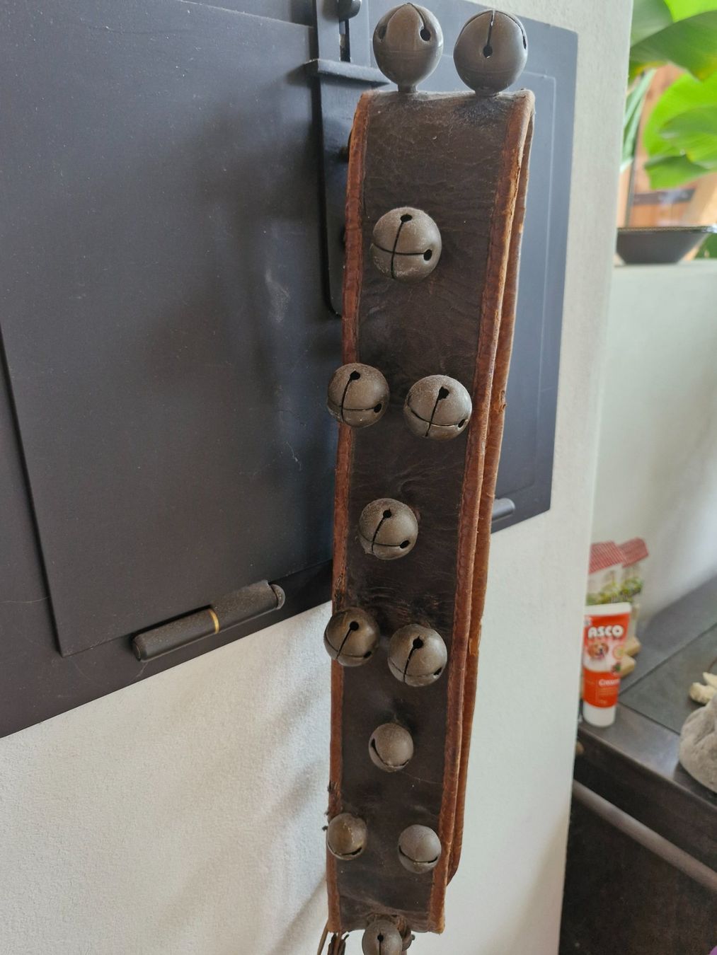 Campanacci mucche: Pferdegeröll – Usato da Guarda venduto da rue_bpd7 3