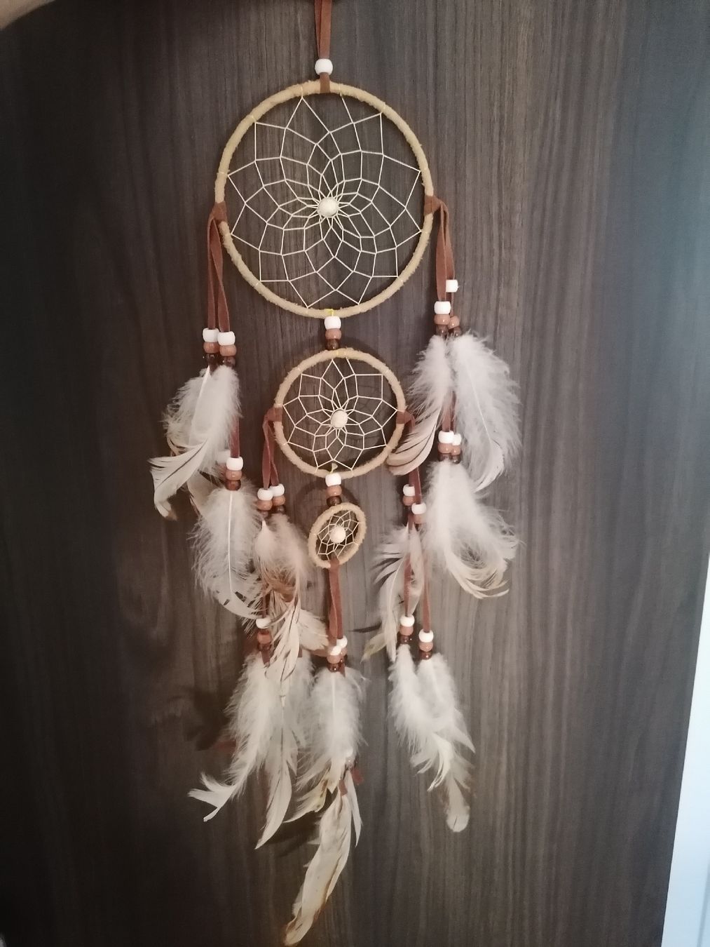 Tutte le decorazioni: Kanadischer Traumfänger Canadian Dream Catcher – Nuovo (secondo la descrizione) da Zürich venduto da thesuccessnow