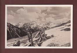 Frühling auf der ALP