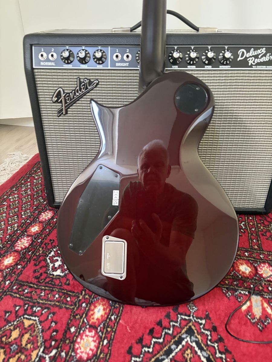 Esp Strumenti musicali: ESP Eclipse -II FT FM TSB mit fishman fluence wie neu – Nuovo (secondo la descrizione) da Belmont-sur-Lausanne venduto da alexander12 8