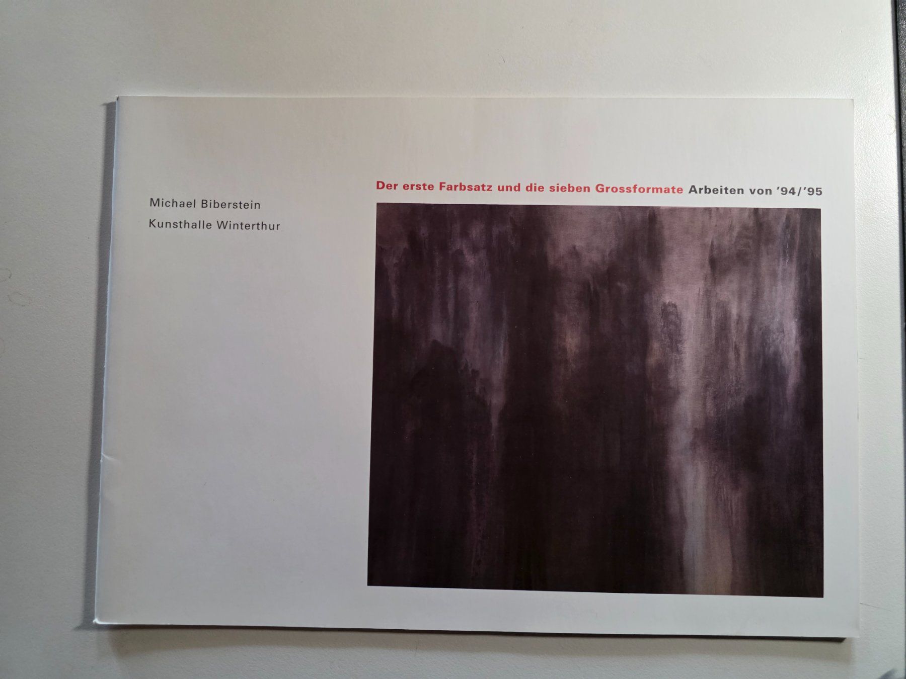 Libri: Michael Biberstein - Kunsthalle Winterthur 1995 – Usato da Walterswil BE venduto da Lonitti