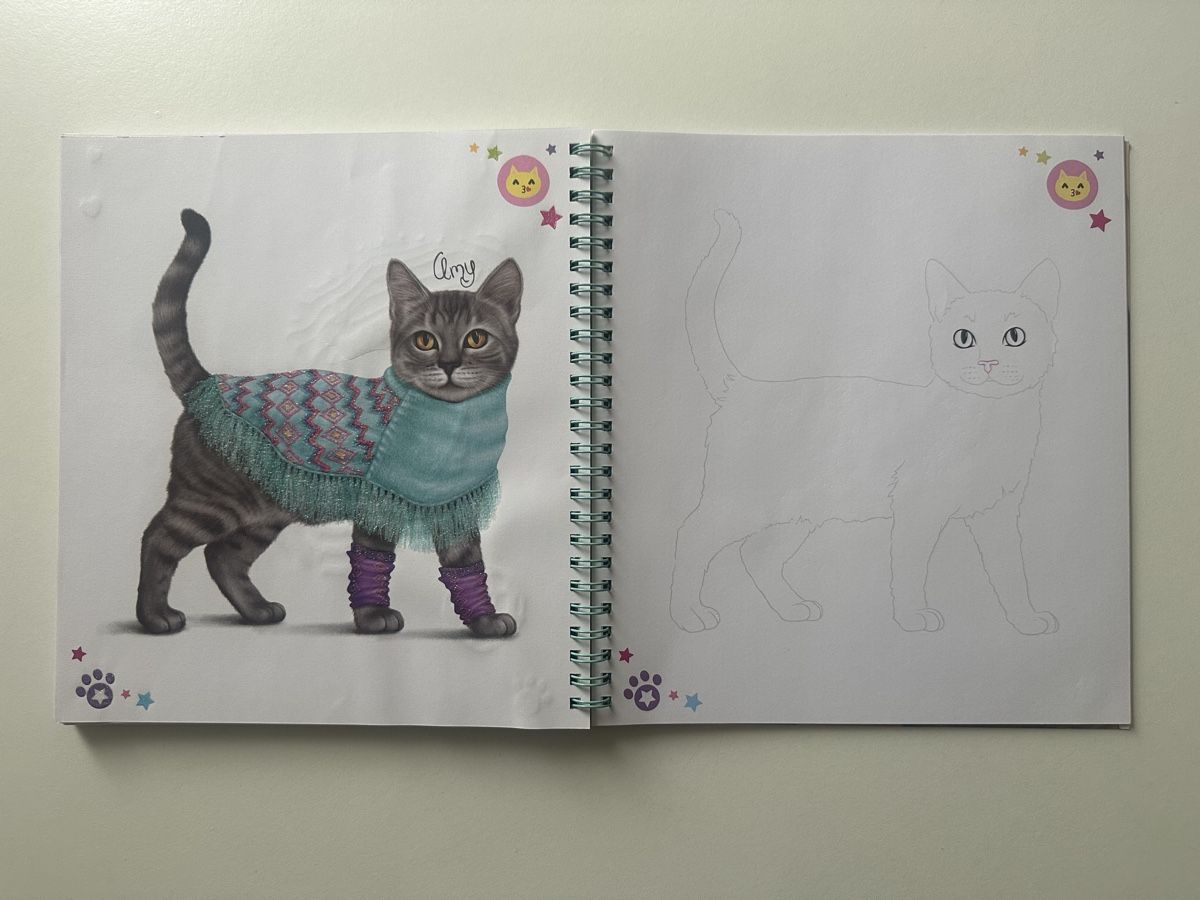 Bücher: Top Model Malbuch und Stickerheft Katze – Neu und originalverpackt aus Uetendorf von Gar_9pvy 2