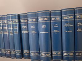 Büchersammlung Klassiker blau gebunden gebraucht Zustand