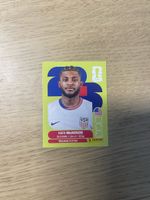 Panini FIFA WC USA 5 