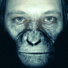 Profile image of LoboThirteen