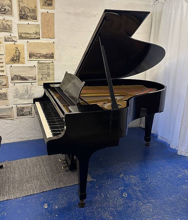 Strumenti musicali: Steinway O Flügel – Usato da liebefeld venduto da RolandBern