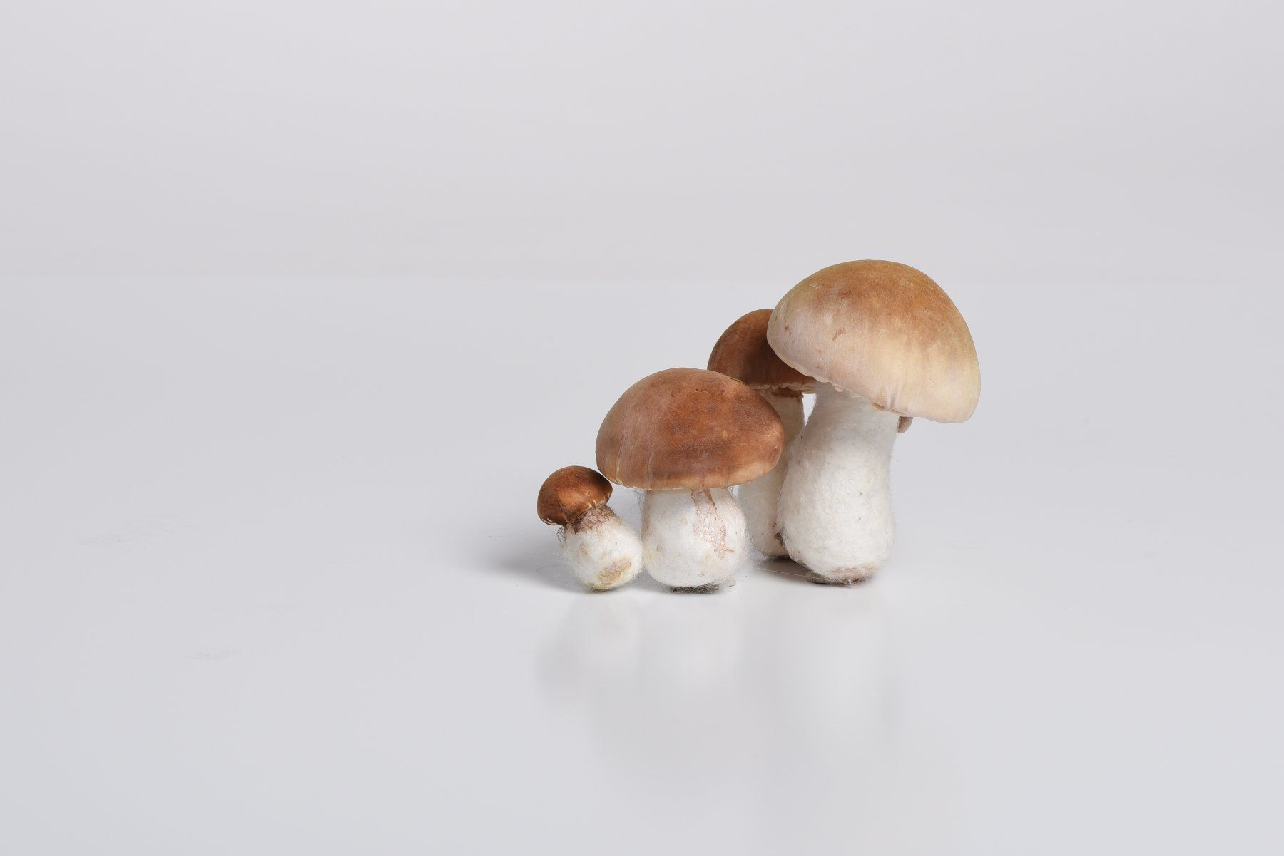 Tutte le decorazioni: Pilze Steinpilz Deko – Usato da Uznach venduto da EH249