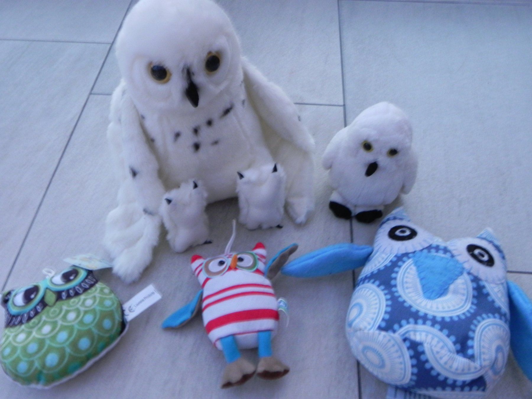 Spielzeuge: Eulen Set Stofftiere Kuscheltiere 5 Stk – Gebraucht aus Stallikon von pcerny16