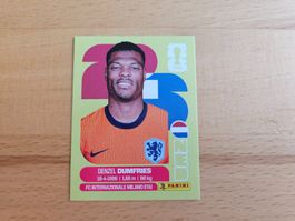 Panini WM 2026 NED 6