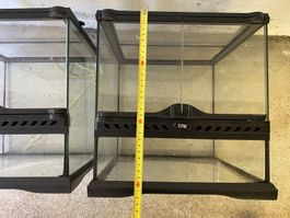 2 stk. Exo-Terra Terrarium Würfel 30cm, mit 3D Rückwänden