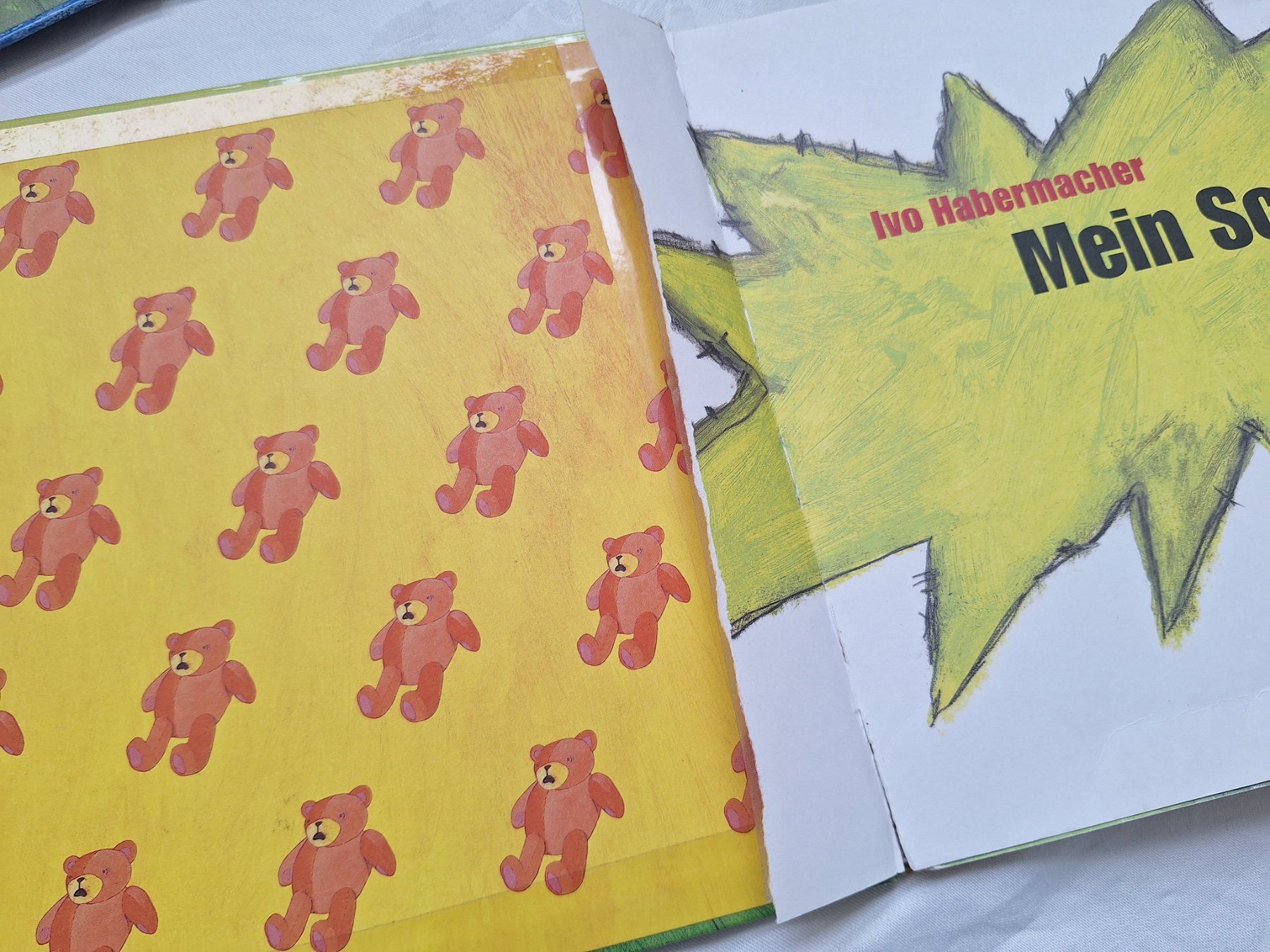Libri: 6 Bilderbücher: Mein Schwonster; Wer versteckt sich? – Usato da Spreitenbach venduto da misi.m 4