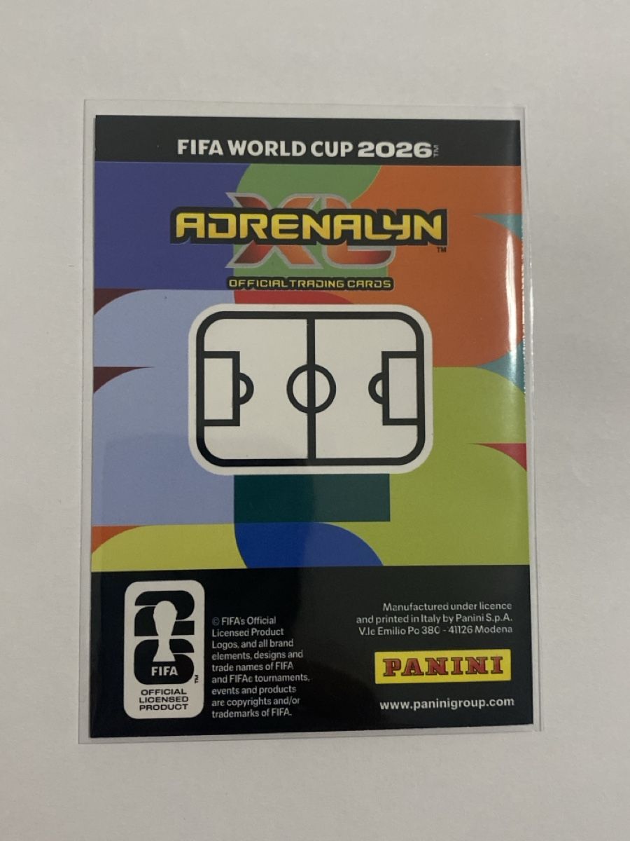 Panini Carte collezionabili: Panini World Cup 2026 - Germany Emblem – Nuovo (secondo la descrizione) da Winterthur venduto da SeanTrieb 1