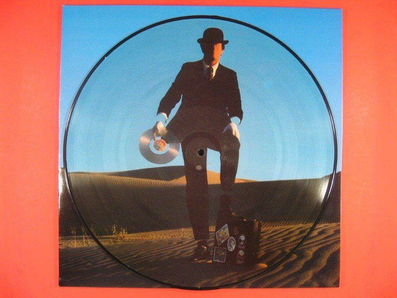 Pink Floyd, Wish You Were Here LP Picture Disc Kaufen auf Ricardo