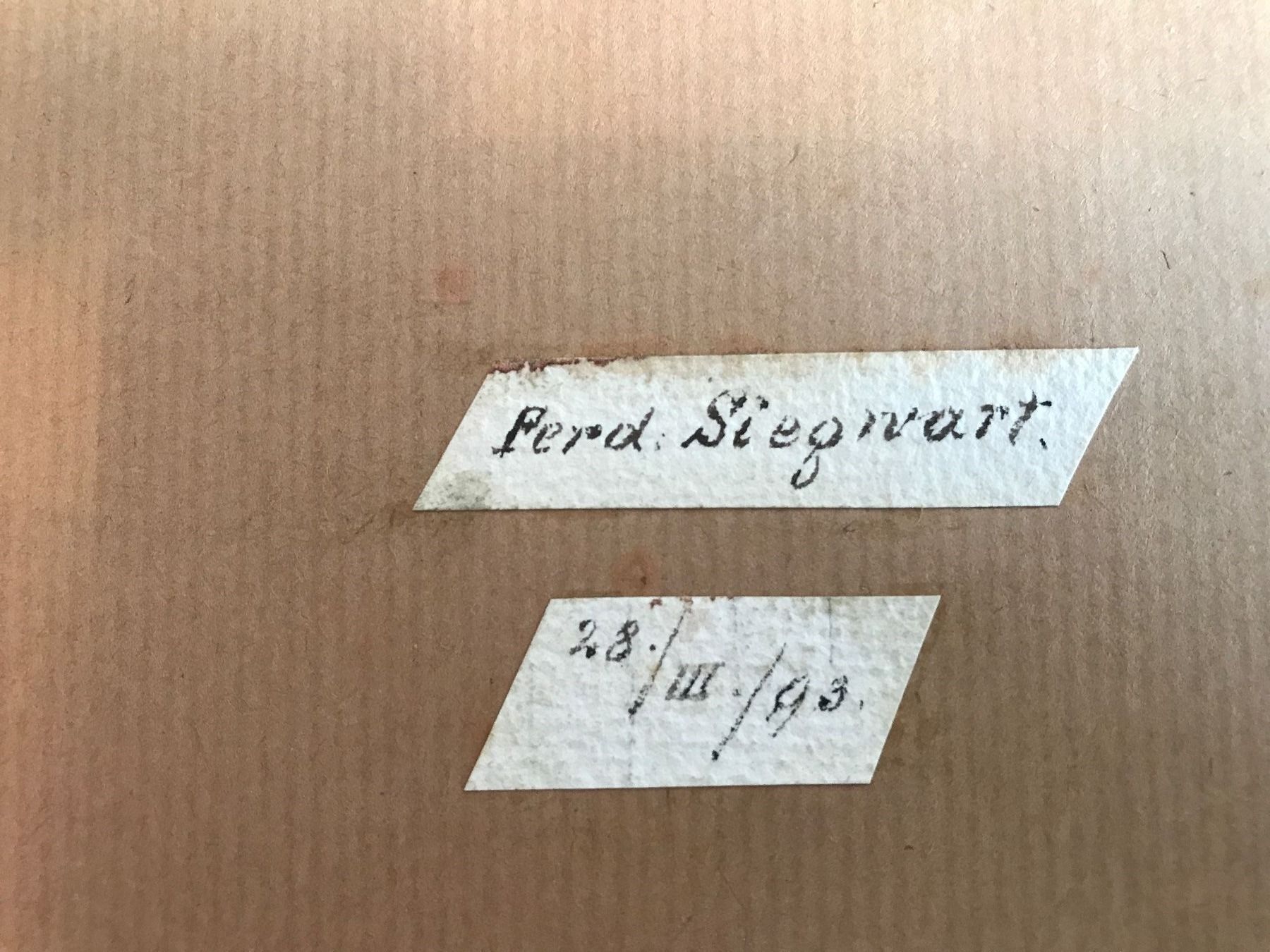 Gemälde: Aquarell von Ferd. Siegwart – Gebraucht aus Bern von Vineb 1