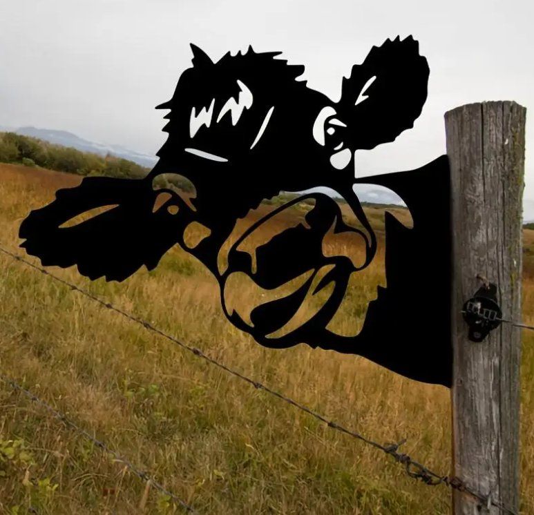 Insegne: Blechschild Kuh – Usato da Gerlafingen venduto da Tsuru 2