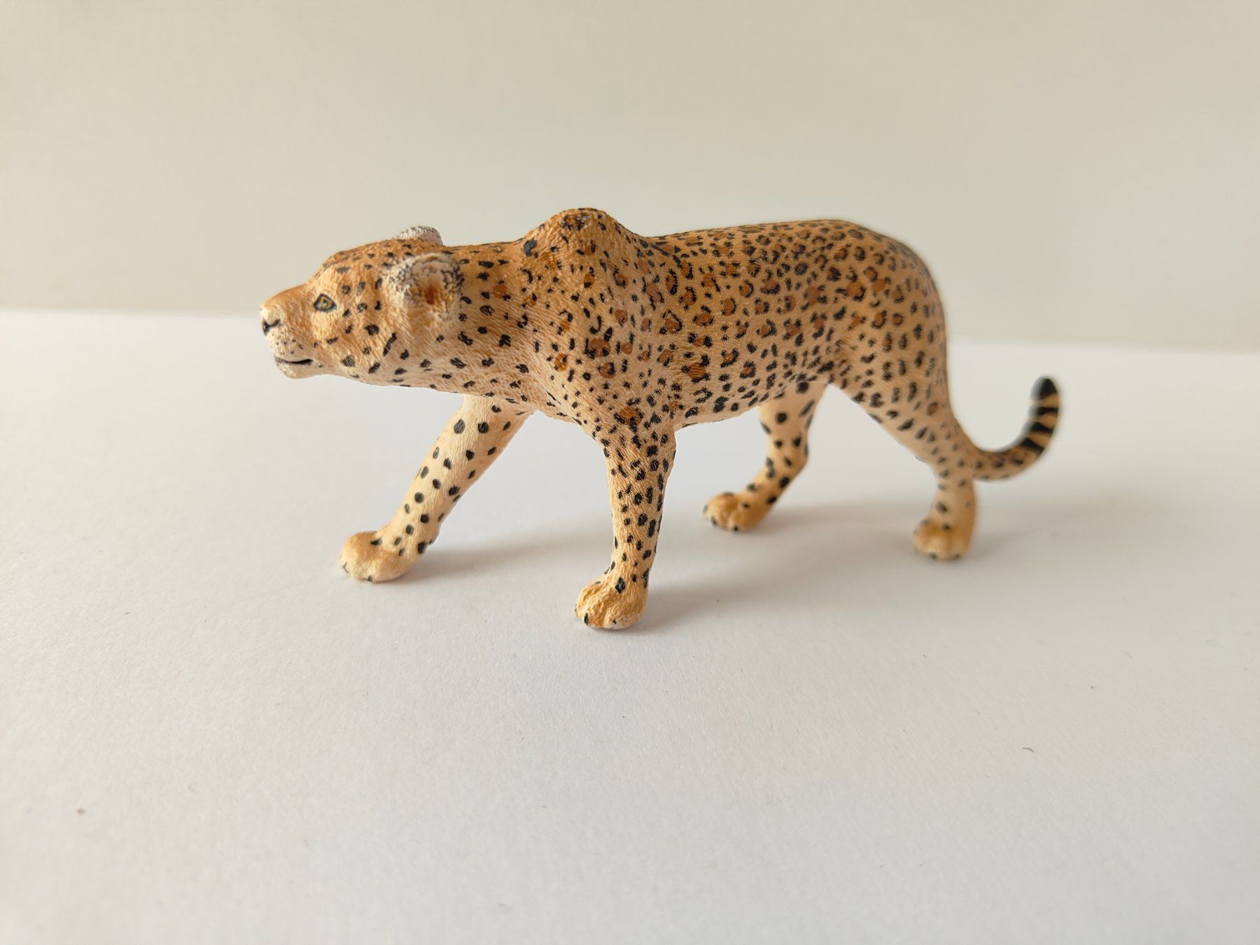 Schleich Spielzeuge: Schleich Leopard Wild Life Raubtier – Gebraucht aus Thalwil von FigurenFreunde