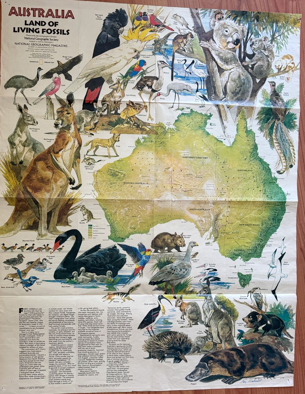 Landkarten & Atlanten: ältere Map von Australien – Gebraucht aus Wängi von squirrelwoman 1