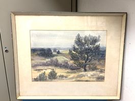 Fascinierte Natur Aquarelle Bild Signiert