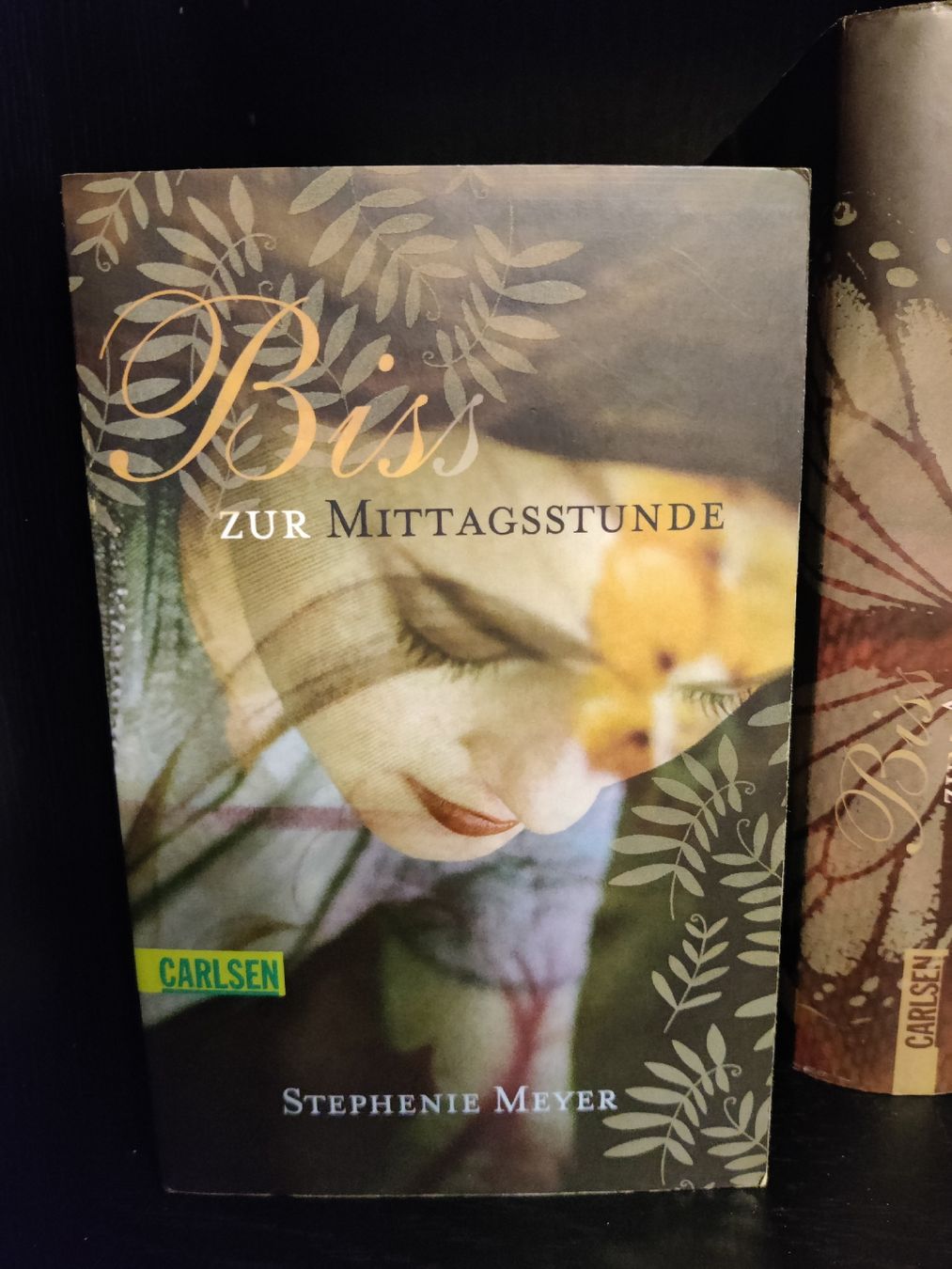 Libri: Stephenie Meyer Biss-Romane inkl. 4 Notitzbücher – Usato da Domat/Ems venduto da Shiekah2102 4