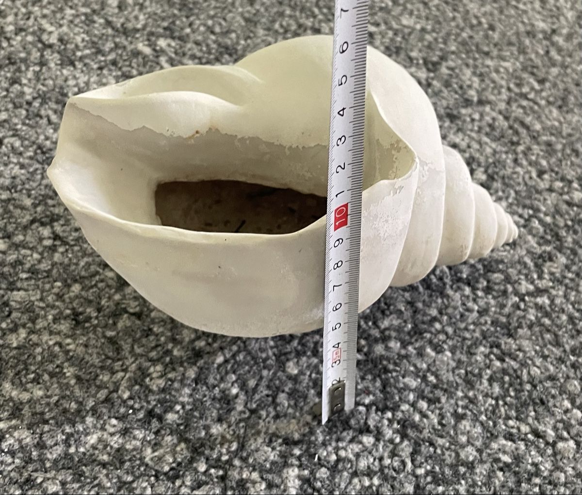 Tutte le decorazioni: Garten Schnecke weiss Dekoobjekt gross DekoSchale – Usato da Au ZH venduto da Jaggy4 5