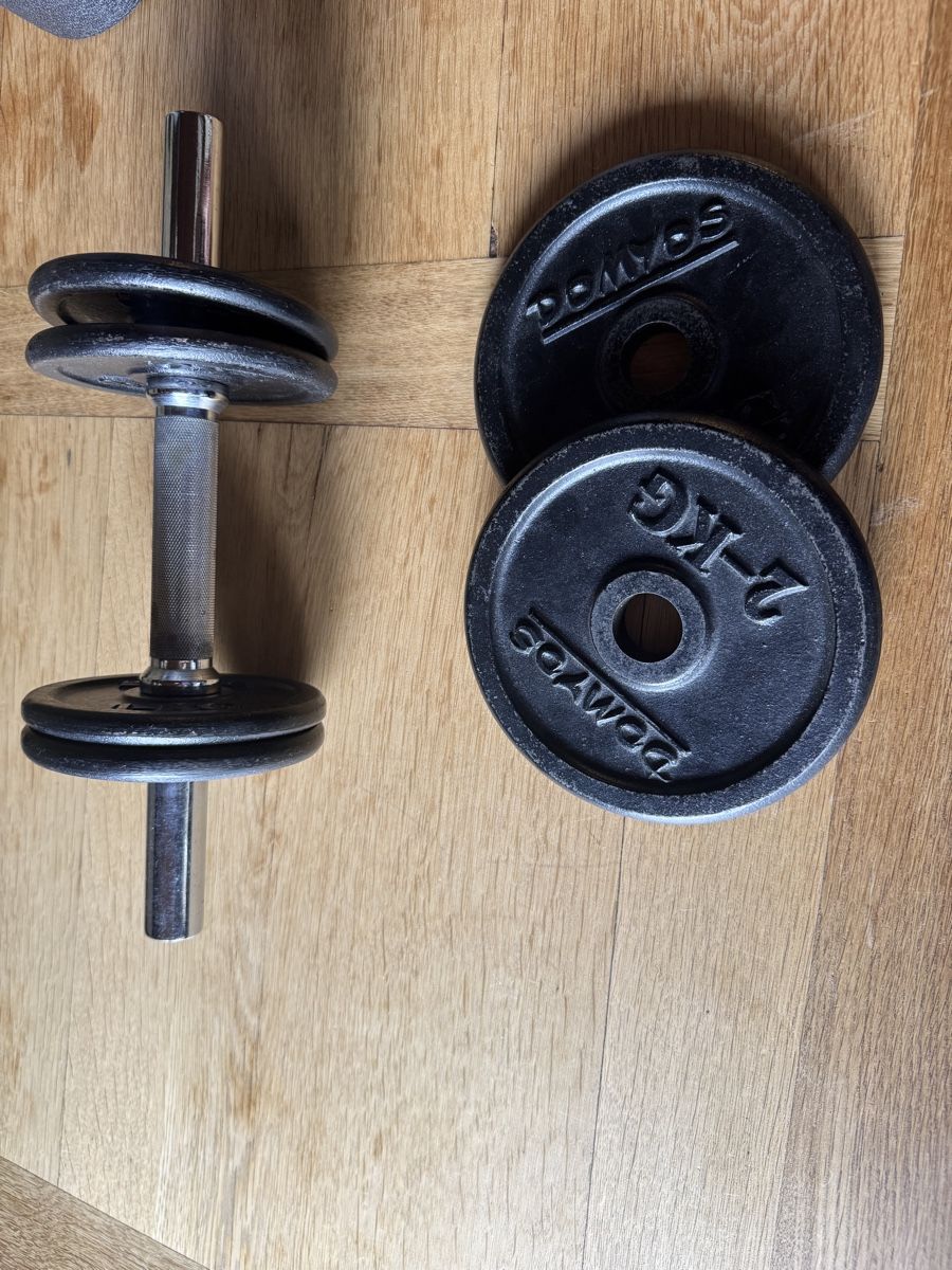 Manubri & Pesi: Verstellbare Hantel 10Kg – Difettoso da Grindelwald venduto da yoloflip45