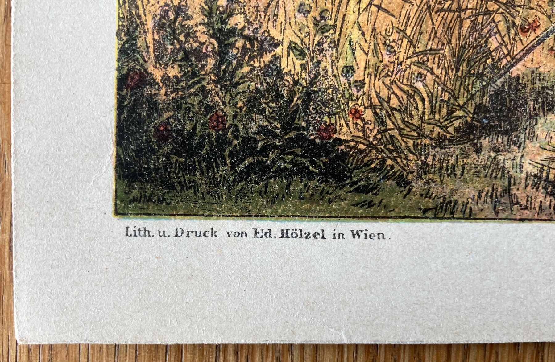 Foto & Immagini: Vier Jahreszeiten – Usato da Waldstatt venduto da breitaxt 5