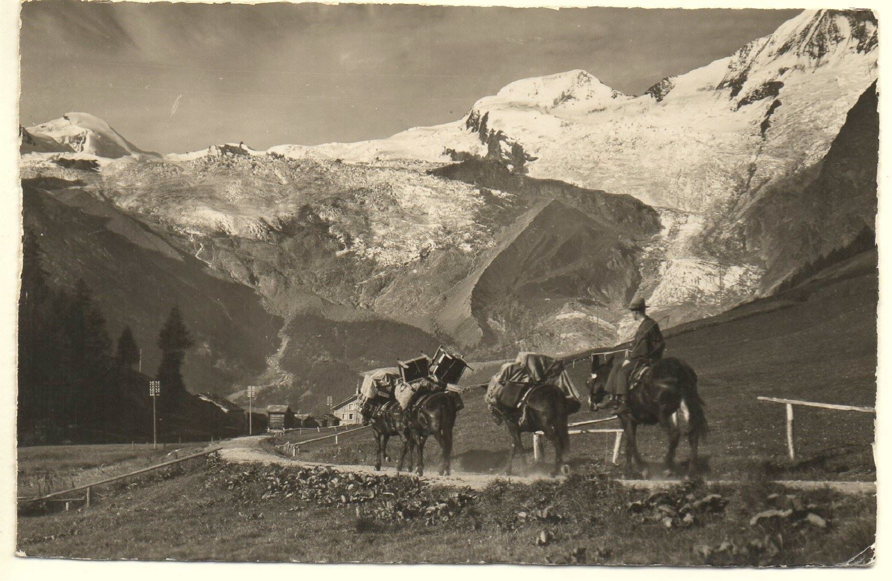 Ansichtskarten: SAAS-FEE Maultierpost – Neu (gemäss Beschreibung) aus Jona von philajona