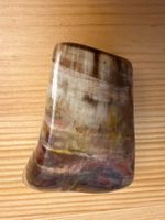 versteinertes Holz, wunderschön! Polierte, glänzende Oberfl.