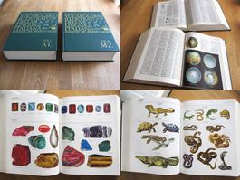VOCABOLARIO ILLUSTRATO DELLA LINGUA ITALIANA
