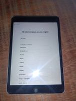 iPad mini 2