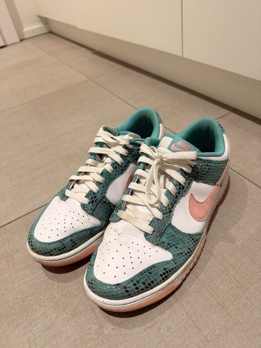 Nike Herrenschuhe: Nike Dunk 42 – Gebraucht aus Bulle von HT8 2