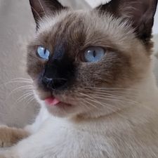 Profile image of rob_vtc6